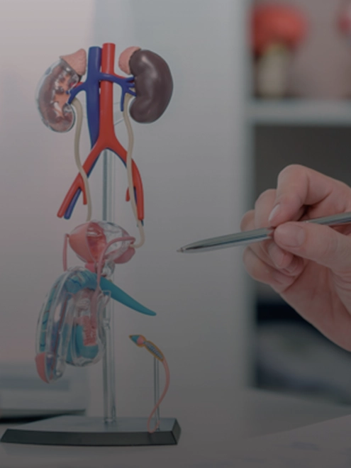 Vivência A.C.Camargo:  Uro-Oncologia