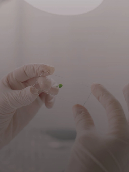 Farmacogenética em Oncologia