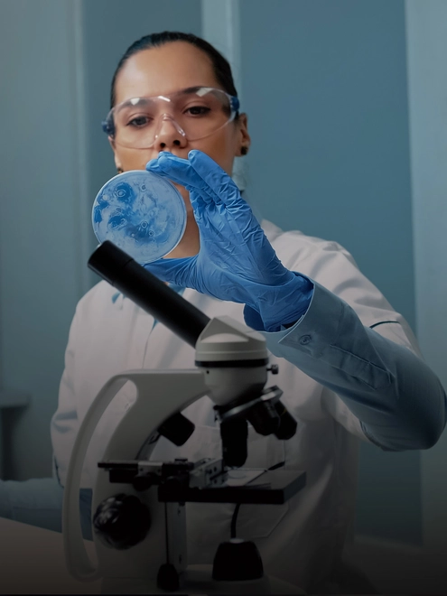 Macroscopia em Ambiente Complexo: Teoria, Protocolos e Aplicação Prática