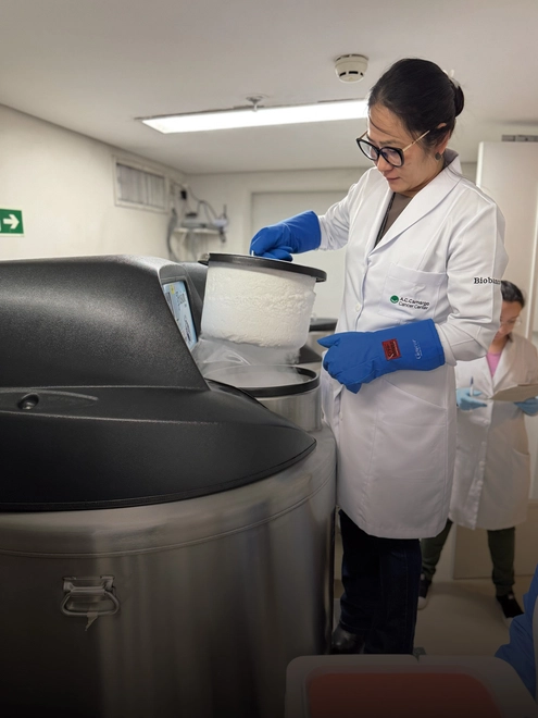 Pós-Graduação em Hemoterapia e Terapia Celular - Hands-on